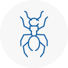 Ant Removals In Rothwell