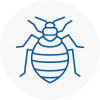 Bed Bug Extermination In Rothwell