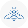 Bee Nest Removal Rothwell
