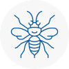 Rothwell Hornet Nest Removals