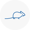 Mice Exterminators In Rothwell