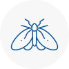 Moth Control Specialists In Rothwell