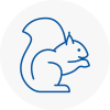 Rothwell Rodent Removals