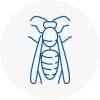 Rothwell Wasp Nest Removal